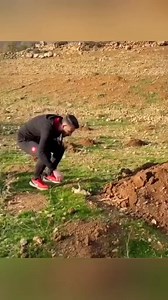 2.5M views · 165K reactions | Rescued wolf cub finds unconditional love and a new family 梁❤#fyp #animals #love #pet #Amazing #shortvideo #mink #animal #adorable #dog #shorts #doglife #cute #Animals #cuteanimals | Covered Perfectly | Facebook