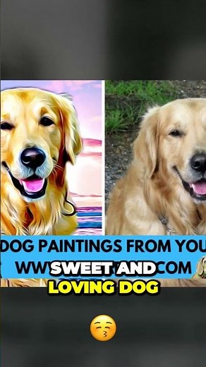 Explaining Differences Between Golden and Labrador Retrievers