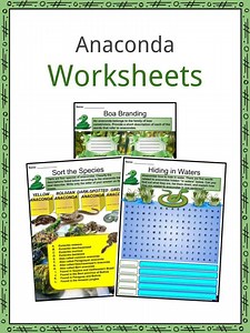 Anaconda Facts & Worksheets | Diet, Habitat, & Types For Kids