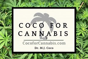Calculating Grow Light Efficiency, Coverage & Harvest Potential - Coco For Cannabis
