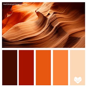 Color Palette: Outstanding Orange — Paper Heart Design Co.