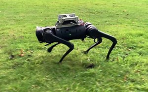Animal-inspired AI robot learns to navigate unfamiliar terrain