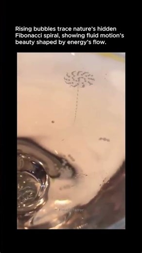 Bubbles Reveal Fibonacci Spiral in Motion 🌌✨ #shorts #fibonacci #wild