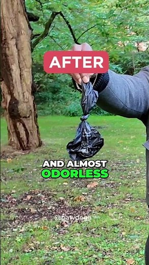 Dog Poop Says THIS About Their Health 💩 | Real Food = Real Results