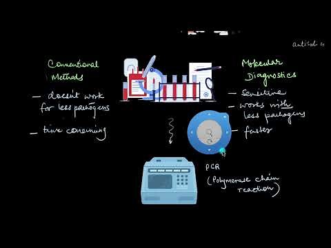 PCR in Molecular Diagnosis | Biotechnology and its Applications | Biology | Khan Academy