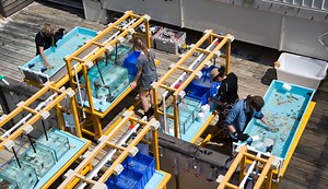 Marine programs and courses