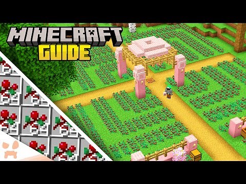 The BEST Starter Food Farm! - Minecraft 1.20 Guide (Survival Lets Play #4)
