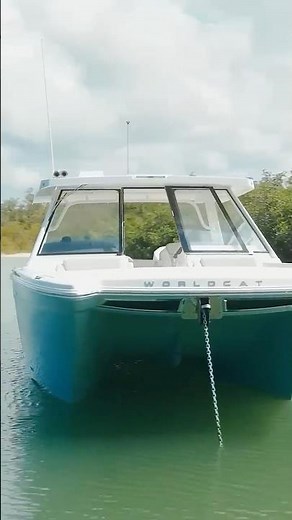 World Cat 400DC-X Island - New Test!