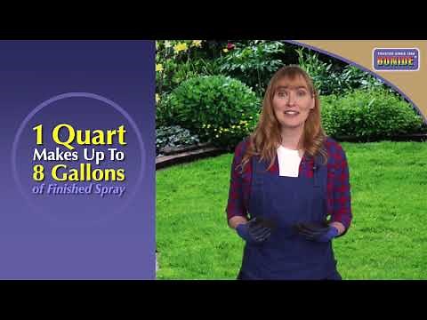 Bonide BurnOut Formula II Concentrate