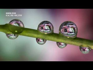 'The Beauty of Rust' | AF-S DX Micro NIKKOR 40mm f/2.8G | Macro Lens Masterclass