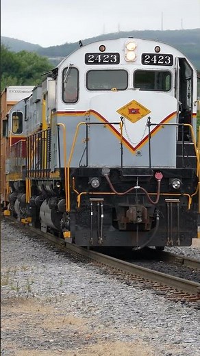 Delaware Lackawanna C425 2423 on freight duty