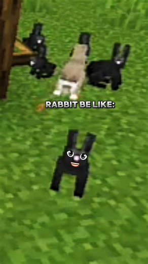 🐇 Minecraft Rabbit Trap 💀🔥 #minecraft