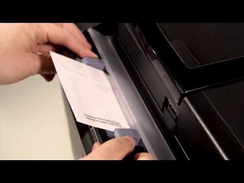 Epson WorkForce Printers | Paper Variety