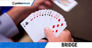 Best Bridge Tips & Strategies | PokerNews