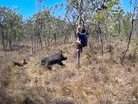 HUNTING AND FISHING Episode 1: Australian Boar Hunting and How to Shoot a Rifle In
