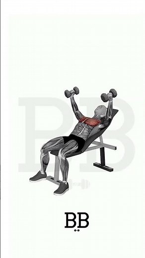DB Incline Fly (CHEST): Target Upper Pecs for Definition & Full Stretch! 💪
