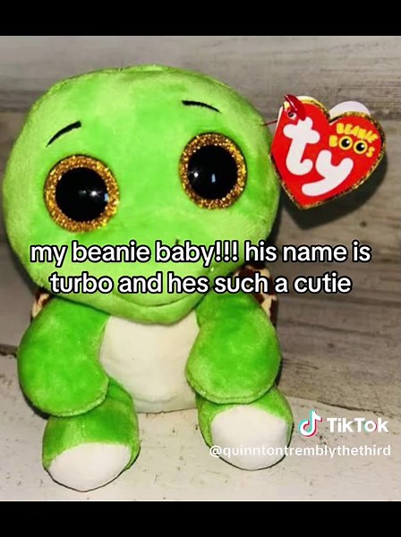 Turbo: The Cutest Beanie Baby