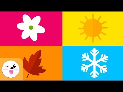 The four seasons of the year for kids - Which are the seasons? - Spring, Summer, Autumn and Winter