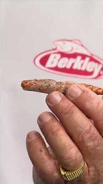 Difference Between Berkley Gulp! & PowerBait EXPLAINED!