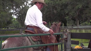 Gates are an important part of a facility. In this quick clip Pat shares some tips for gate placement, how to open from horseback, and more. | Parelli Natural Horsemanship