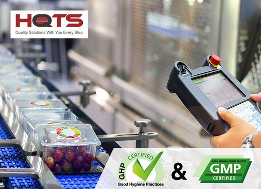 Food Safety Audits: What are GHP and GMP in the Food Industry? - HQTS
