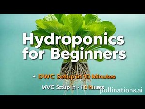 Hydroponics for Beginners: DWC Setup in 10 Minutes [Step-by-Step]