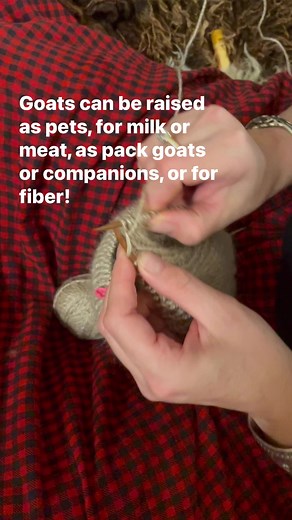 The yarn here is a blend of angora goat fiber and sheep wool. The white fiber shown is a cashmere goat and the brown/grey is an angora goat. Who grew your hat? Learn more about angora goats here: https://backyardgoats.iamcountryside.com/goat-breeds/angora-goats-breed-profile/ #homestead #homesteading #fiberart #knittinglove #knitters #modernhomesteading #knitting #fibershed #goats #fibergoats | Mother Earth News