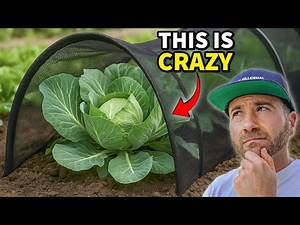 I Tested The AMAZING New Netting That Protects ALL Crops!