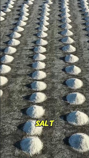 How Salt is Made from Sea Water