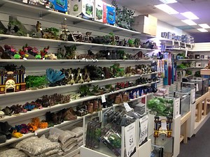 Fish Store | 500m2 of Everything Fishy | CALL 1800 MY FISH