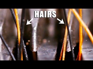 Electric Hair Clippers - In Slow Motion