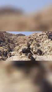 511K views · 5.8K reactions | Exploring an Extraordinary Abandoned Mine! Abandoned and Forgotten Places “Memories” WATCH THE FULL EPISODE! “Extremely Rare Find, Museum Mine Loaded with Artifacts, Just Incredible!” https://youtu.be/gDkj-Mwe2M0?si=SOBQhM0un8tNV7vi | Abandoned & Forgotten Places | Facebook