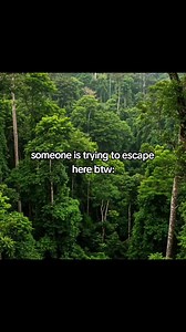 The Amazon Rainforest: The Amazon Rainforest is one of the most extraordinary and vital ecosystems on the planet. Spanning across nine South American countries, with nearly sixty percent located in Brazil, it is the largest tropical rainforest in the world. Covering an area of approximately 6.7 million square kilometers, it is roughly the size of the contiguous United States. At its heart flows the Amazon River, the largest river by volume on Earth, discharging more freshwater into the ocean tha