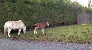 When you realize there's only ONE hour to go before the weekend begins! #CountryRacing #ItsGotItAll | Country Racing Victoria