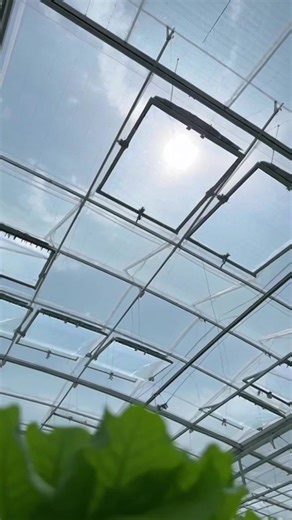 Smart Greenhouse Technology 2025 Greenhouse Farming India Automatic Greenhouse System AI Based Greenhouse Climate Control Greenhouse IoT Greenhouse Protected Cultivation New Farming Technology 2025 Smart Farming Modern Agriculture#SmartGreenhouse #GreenhouseTechnology #NewFarmingTechnology2025 #SmartFarming #ProtectedCultivation #FutureFarming #ModernAgriculture #किसान2025 | samrt famer world