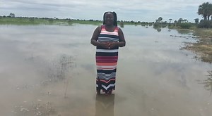 110 learners affected by the flood in Eheke Maria David THE number of people affected by the flood in the Oshana Region continues to increase. This includes learners discontinuing their education in the region due to the flood. Currently, at Nepaya Primary School in Eheke Circuit, classes are temporarily suspended due to flood water, which resulted in 110 learners being affected. The flood also affected five of the teachers in the process. Further, some learners from Ehangano and Ambili Primary 