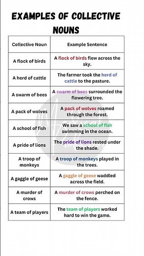 "Learn Collective Nouns with Easy Examples: Boost Your English Fluency!"