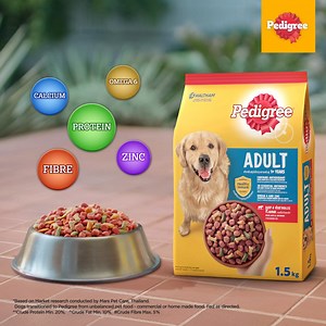 The numbers don’t lie especially when they are backed by the trust of Pedigree. In just 6 weeks, see visible differences in your dog's health! Available now at Pet shops and online stores. Shopee: https://bit.ly/3ntQ7ef Lazada: https://bit.ly/3vVHC15 | Pedigree Malaysia
