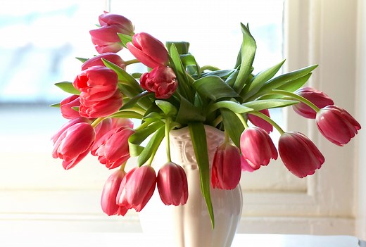 Perk Up Your Vase of Droopy Tulips with These 5 Simple Fixes