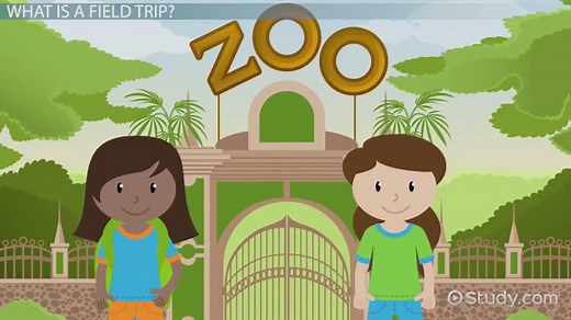 Field Trip: Definition & Benefits