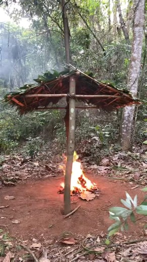 Solo Bushcraft Build:Primitive Palm Leaf Shelter in the Tropics 🌴#primitiveskills #survivals kills
