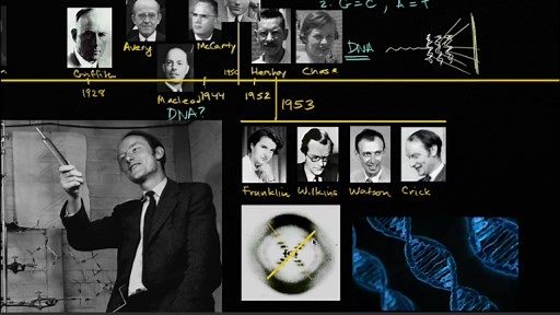 The discovery of the double helix structure of DNA