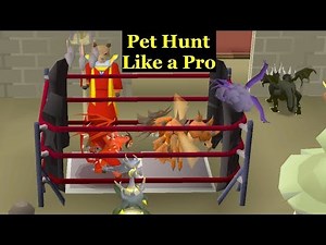 Top 5 Pet Hunting Strategies in OSRS