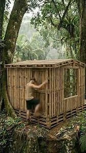 Building an Off-Grid Solar Cabin in the Jungle | Bushcraft Survival Life