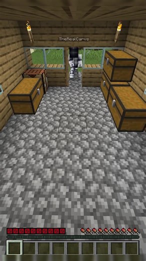 Epic Minecraft Gameplay in the USA