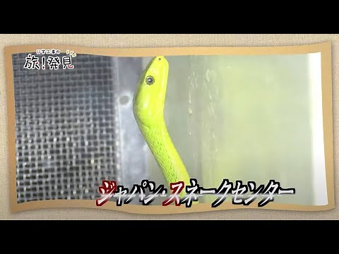 U字工事の旅！発見#50 ジャパン・スネークセンター ～群馬県・太田市～