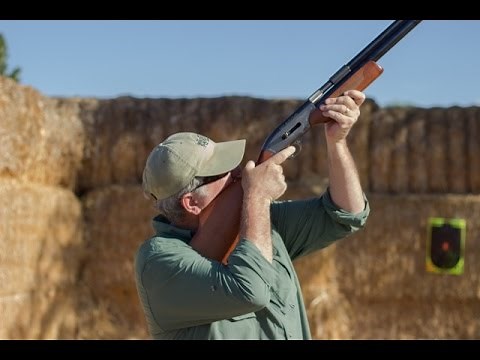 Air Shotgun Hunting Doves!