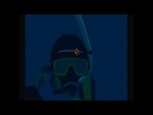 Finding Nemo Level 3 The Drop Off