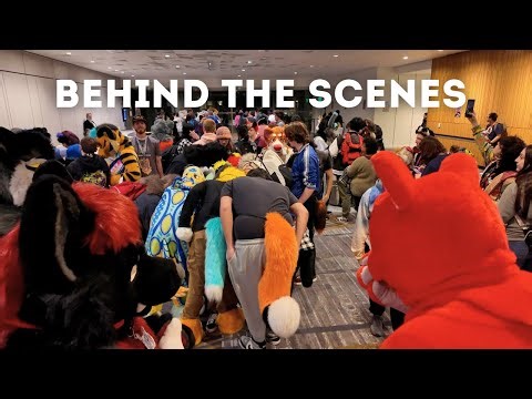 I Helped Run a Furry Convention: Here’s What I Learned