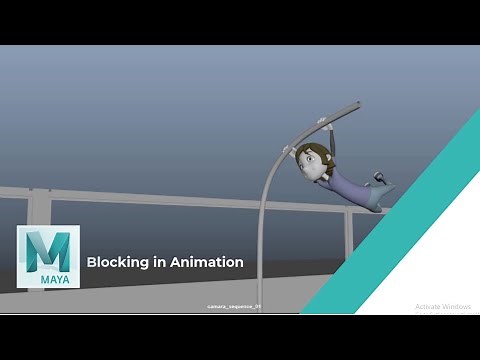 Animation Blocking